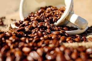 coffee seeds