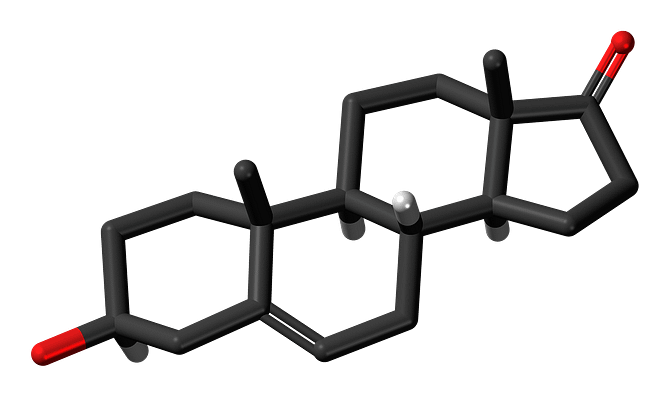 steroid molecule